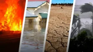 Fire, floods, cyclones, and drought.