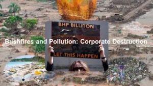 A collage of various environmental Australian disasters mainly caused by corporate greed.