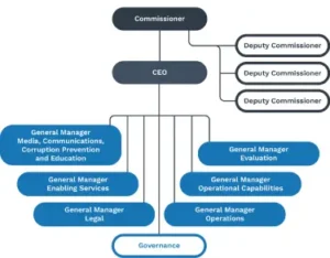 Organisational structure of the NACC.